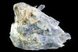 Vibrant Blue Kyanite Crystal Cluster - Brazil #95588-1